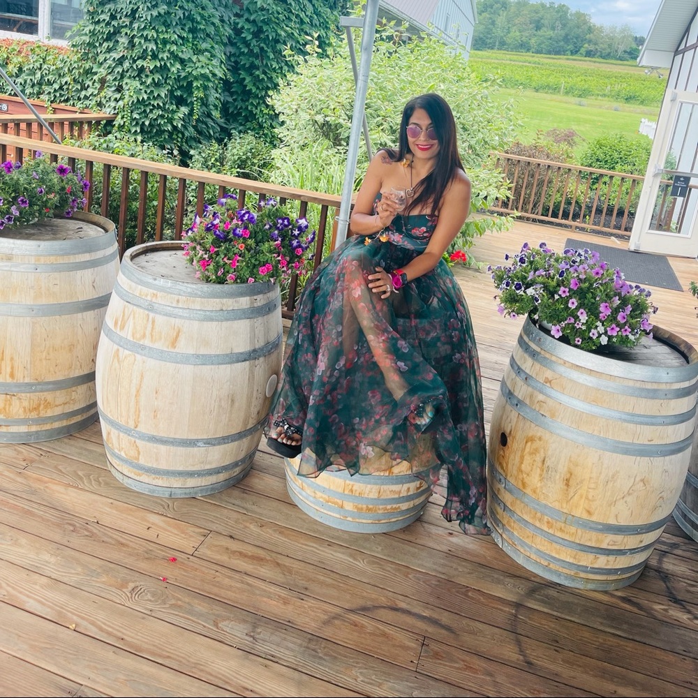 Bebe Skirt gown